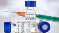 Nomor dan Email Aduan Indikasi Penjualan Vaksin COVID-19