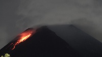 Gunung Merapi Hari Ini Keluarkan 14 Kali Guguran Lava Pijar