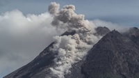Apa Gunung Merapi Meletus: Guguran Lava Capai 900 Meter Tadi Malam