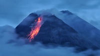 Gunung Merapi Hari Ini 19 Januari, Luncurkan Awan Panas 1.800 Meter