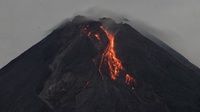 Info Gunung Merapi Hari Ini: 9 Kali Guguran Lava Pijar 1.000 M