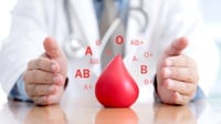 Penyakit Sistem Peredaran Darah Manusia: Anemia hingga Hipertensi