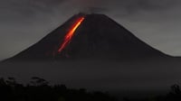 Info Gunung Merapi Hari Ini 30 November 2021: 59 Kali Gempa Guguran
