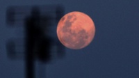 Apa Itu Wolf Moon & Kapan Full Moon Bulan Purnama Januari 2024?