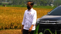 Musrembangnas 2021: Jokowi Dorong Daerah Terapkan Green Economy