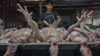 Update Harga Pangan: Daging Ayam sampai Migor Masih di Atas HET