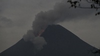 Info Gunung Merapi Terkini: 10 Guguran Lava & 60 Kali Gempa Guguran