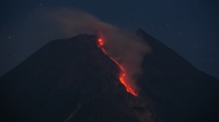 Gunung Merapi Meluncurkan Guguran Lava Pijar sejauh 1,2 Kilometer