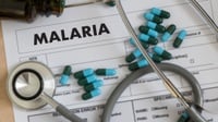 80 Persen Penyebaran Malaria di Indonesia Ada di Wilayah Timur