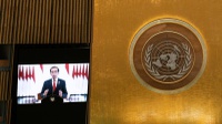 Apa Sejarah, Asas dan Tujuan Perserikatan Bangsa-bangsa (PBB)?
