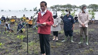 Jokowi Janji Rehabilitasi 600 Ribu Hektar Mangrove dalam 3 Tahun
