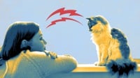 Menelisik Praktik Komunikasi dengan Hewan: Mitos atau Sains?