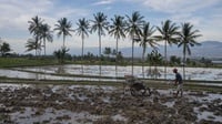 Apa Itu Bencana Hidrometeorologi La Nina dan Prediksi BMKG?