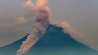 Info Gunung Merapi Hari Ini: Awan Panas dan 30 Kali Gempa Guguran