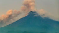 Info Gunung Merapi Hari Ini 2021: 41 Kali Gempa Guguran & 3 Hybrid