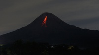 Info Gunung Merapi Hari Ini 4 Januari 2022: 19 Kali Gempa Guguran