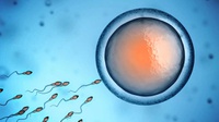 Apa Itu Pembekuan Sel Telur atau Oocyte Cryopreservation?
