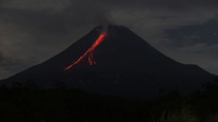 Merapi Terkini Hari Ini: Wisata Lereng Volcano Ditutup Sementara