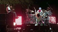 Lirik Lagu Black Summer dari Red Hot Chili Peppers beserta Artinya