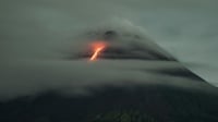 Info Gunung Merapi Terkini: 8 Lava Pijar hingga 16 Gempa Guguran