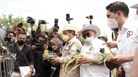 Bakrie Group Melakukan Panen Raya Perdana Padi Gogo 84 Hektar