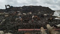 Mendaki Gunungan Sampah dan Masalah Lama di TPST Piyungan Yogya