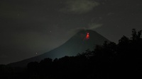 Gunung Merapi Alami 129 Kali Gempa Guguran dan Satu Gempa Vulkanik