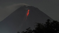 Info Gunung Merapi 25 April: 4 Guguran Lava dan 39 Gempa Guguran