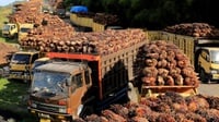 Pemerintah Perpanjang Pembebasan Tarif Pungutan Ekspor Produk Sawit