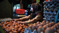 Update Harga Pangan: Harga Telur di Papua Paling Mahal Se-Indonesia