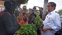 Blusukan di Pasar Klandasan, Jokowi: Harga Kangkung Naik