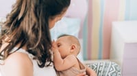 15 Rekomendasi Camilan Pelancar ASI yang Bagus Buat Ibu Menyusui