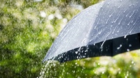 Alasan Kenapa Setelah Main Hujan Anak Harus Mandi dan Keramas
