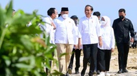 Pesan Jokowi saat Resmikan Food Estate Mangga di Gresik