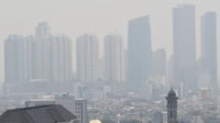 DLH DKI Lakukan 3 Strategi Pengendalian Kualitas Udara Jakarta