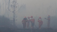 Tim Cegah Api Greenpeace: Bertaruh Nyawa, Padamkan Karhutla