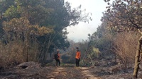 Kebakaran Melanda 95 Hektare Hutan dan Lahan di Gunung Ciremai