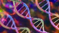 Pengertian Kode Genetik, Ciri-Ciri, Fungsi, dan Tabelnya