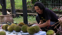 Manfaat Buah Durian dan Cara Memilih yang Bagus Serta Lezat