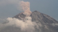 Update Gunung Semeru 8 Desember 2022: 17 Kali Gempa Erupsi