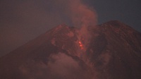 Info Gunung Semeru Hari Ini 8 Mei 2023: 22 Kali Gempa Erupsi