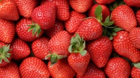 Ketahui 5 Manfaat Strawberry untuk Ibu Hamil, Menurut Penelitian