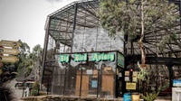 Daftar Harga Tiket Lembang Park & Zoo Saat Liburan Akhir Tahun