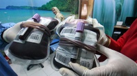 Ragam Cara Memperingati Hari Donor Darah Sedunia 2023