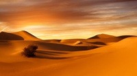 Mengenal Gurun Arab atau Arabian Desert yang Ada di Arab Saudi