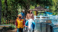 Lokasi & Harga Tiket Dairyland Farm Theme Park Puncak saat Libur