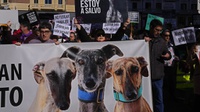 Kronologi Ribuan Orang Spanyol Protes RUU Perlindungan Hewan