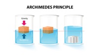 Contoh Soal Hukum Archimedes, Bunyi, Rumus, Jawaban & Pembahasan