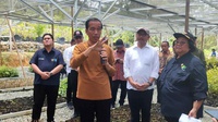 Jokowi: Persemaian Mentawir IKN Produksi 20 Juta Bibit per Tahun