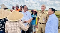 Jokowi Bagi-Bagi 1.043 Sertifikat Tanah untuk Warga Blora